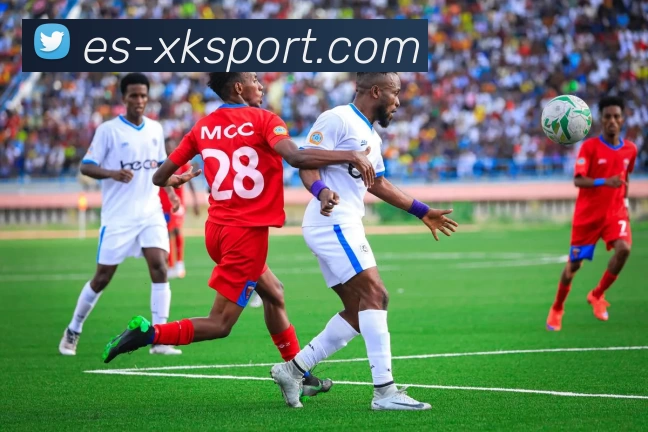 App Interface Preview