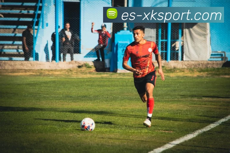 星空体育APP 封面图